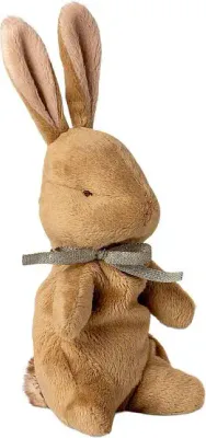 My first bunny. -Mint