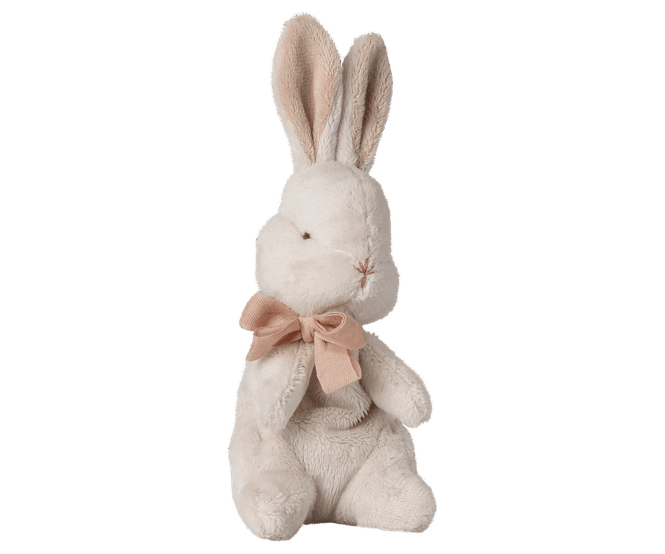Hovedbilde My first bunny. -Powder