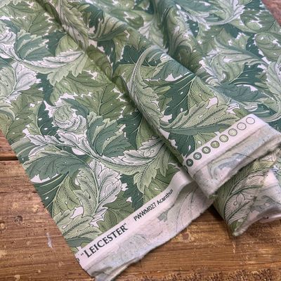 Acanthus, Green
